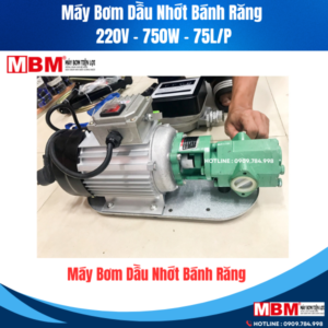 Bơm Dầu Nhớt Bánh Răng 220V 750W